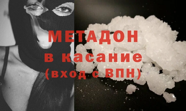 гашик Алексин