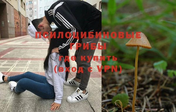 дживик Алзамай
