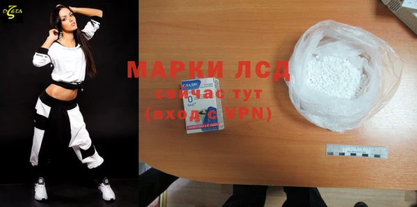 гашик Алексин
